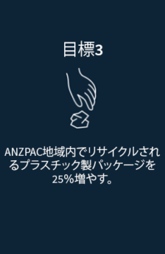 Japan ANZPAC Target 3