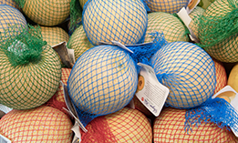 Melons in a mesh bag closed with a kwik lok closure