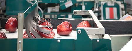 KL_Resources_FoodSafety2