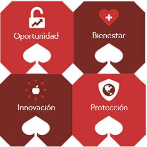 csr es