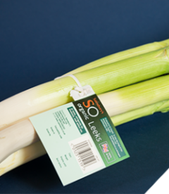 Kwik Link on leeks