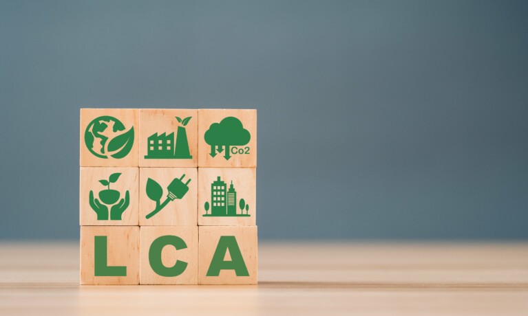 LCA Article