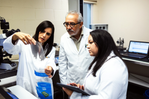 Examining challenges and opportunities for the future of sustainable packaging